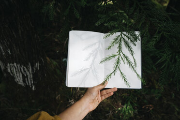 Abgeschnittene Hand einer Frau, die ein Buch über Pflanzen im Wald hält - CAVF58701