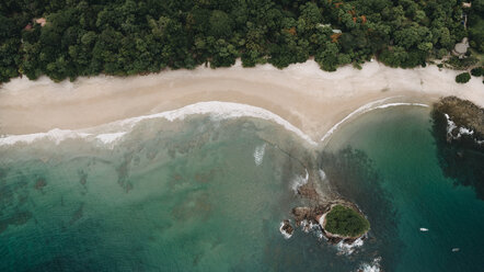 High angle view of trees at beach - CAVF58728