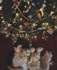 Overhead view of boy with dog lying by Christmas tree at home - CAVF58774