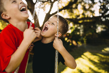 Cheerful brothers holding chains while swinging on tire swing at playground - CAVF58821