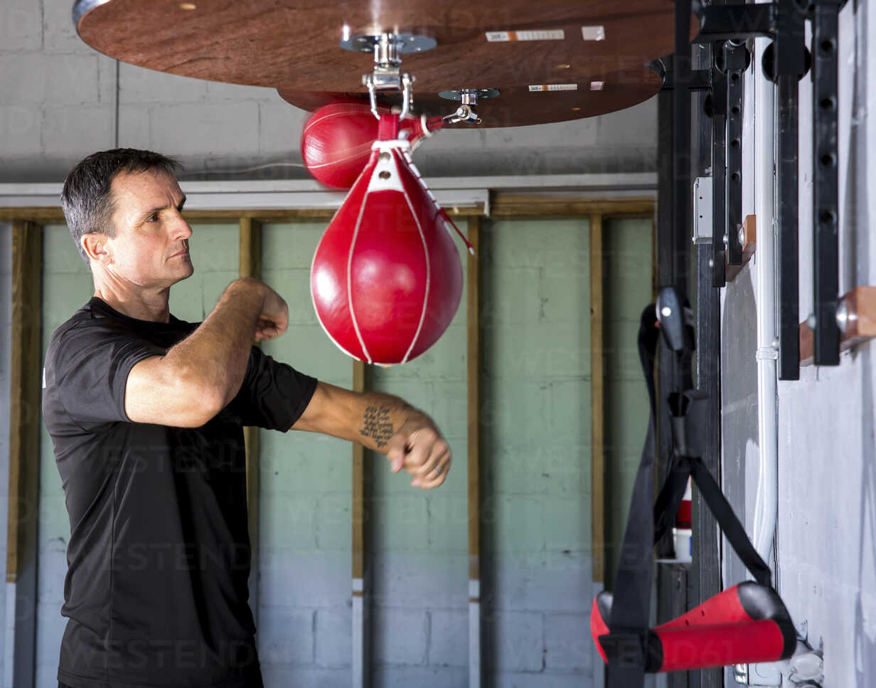 Boxing coach punching speed bag in gym stock photo