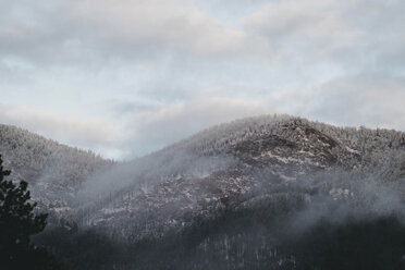 Low angle view of trees on mountain against cloudy sky during winter - CAVF58850