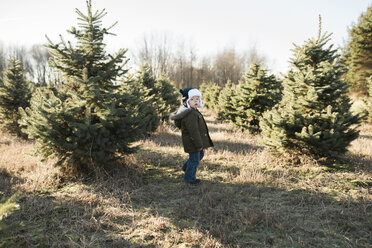 Junge in voller Länge vor Weihnachtsbäumen auf dem Bauernhof stehend - CAVF58915