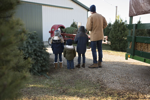 Rückansicht von Vater und Kindern, die den Weihnachtsbaum betrachten, der auf das Fahrzeug geladen wird - CAVF58918
