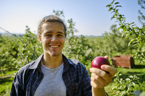 Porträt eines lächelnden Landwirts, der einen Apfel in der Hand hält, während er im Obstgarten vor einem klaren Himmel steht, lizenzfreies Stockfoto