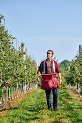 Bauer geht auf grasbewachsenem Feld bei Obstgarten gegen klaren blauen Himmel - CAVF58955