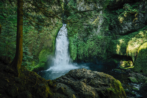 Majestätischer Blick auf den Wasserfall inmitten des Waldes - CAVF58975