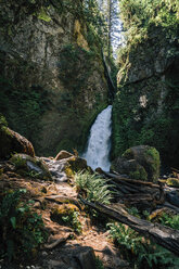 Malerischer Blick auf einen Wasserfall im Wald - CAVF58978