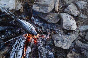 High angle view of fish grilling in campfire - CAVF59065