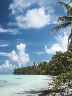 Coconut palm trees at beach against cloudy sky - CAVF59071