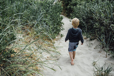 Rear view of boy walking on sand amidst plants at beach - CAVF59148