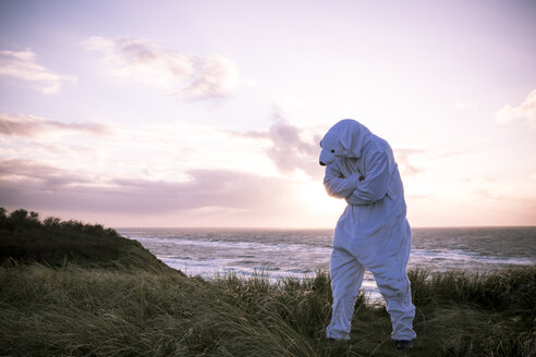 Denmark, Nordjuetland, Man wearing ice bear costume at the beach - REAF00471