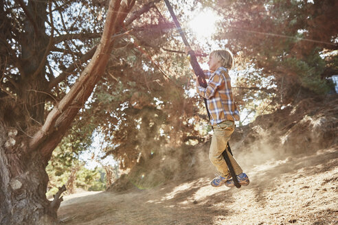 Boy swinging on a rope in backlight - SSCF00109