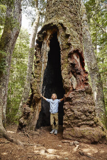 Chile, Puren, Nahuelbuta-Nationalpark, Junge steht in einem alten Araukarienbaum - SSCF00133