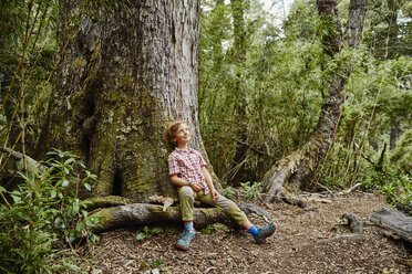 Chile, Puren, Nahuelbuta National Park, smiling boy sitting at a tree in forest looking up - SSCF00141
