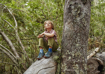 Chile, Puren, Nahuelbuta National Park, boy sitting on a tree in forest looking up - SSCF00142