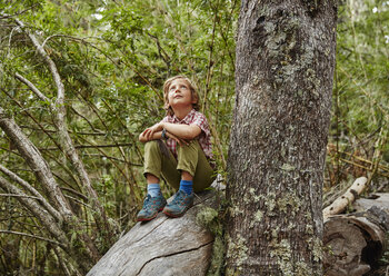 Chile, Puren, Nahuelbuta National Park, Junge sitzt auf einem Baum im Wald und schaut nach oben - SSCF00142