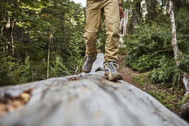 Chile, Puren, Nahuelbuta National Park, Nahaufnahme eines Jungen, der auf einem Baumstamm im Wald läuft - SSCF00145