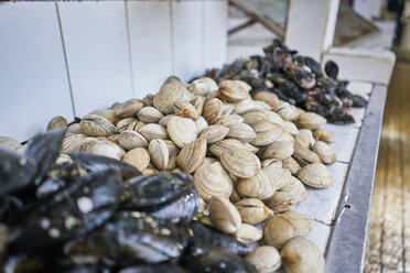 Chile, Puerto Montt, Muscheln auf dem Fischmarkt - SSCF00185