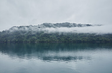 Chile, Hornopiren, Insel im Fjord - SSCF00190