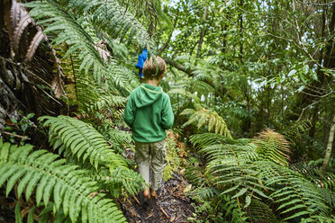 Chile, Chaiten, Parque Pumalin, boy on a hiking tour at Chaiten volcano - SSCF00208