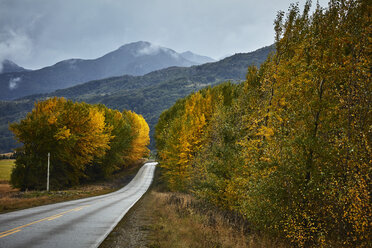 Chile, Puerto Aysen, Landstraße im Herbst - SSCF00226