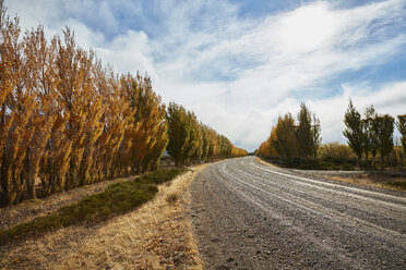 Argentina, Lago Posadas, gravel road with autumnal trees - SSCF00289