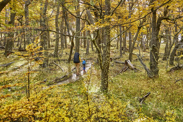 Argentinien, Patagonien, El Chalten, Mutter und Sohn wandern im herbstlichen Wald - SSCF00313