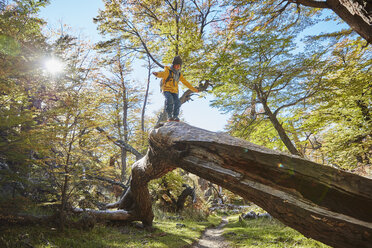 Argentina, Patagonia, El Chalten, boy balancing on a tree trunk in forest - SSCF00324
