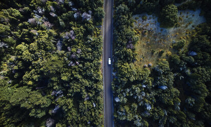 Argentinien, Patagonien, Lago Futalaufquen, Drohnenbild von Wohnmobil auf Schotterstraße im Wald - SSCF00329