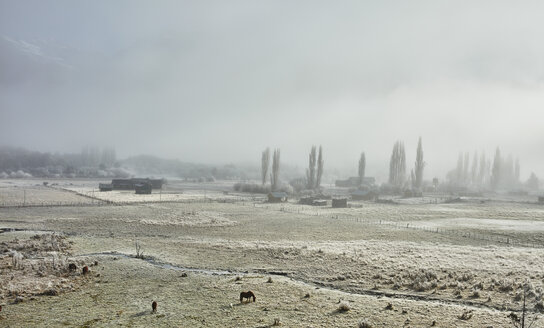 Argentinien, Patagonien, Seengebiet, winterliche Farmlandschaft im Nebel - SSCF00338