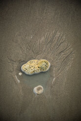 Stones on wet sand on the beach - REAF00488