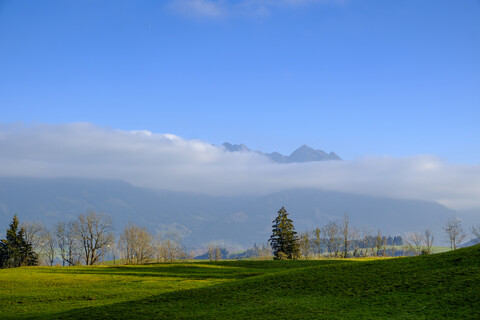 Deutschland, Bayern, Schwaben, Oberallgäu, Blick auf Allgäuer Hochalpen bei Bolsterlang, Hoernerdoerfer, lizenzfreies Stockfoto