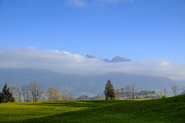 Germany, Bavaria, Swabia, Oberallgaeu, View of Allgaeu High Alps near Bolsterlang, Hoernerdoerfer - LBF02290