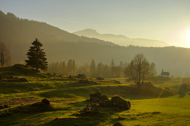 Österreich, Vorarlberg, Naturpark Nagelfluhkette, Balderschwanger Tal, Sippersegg bei Hittisau - LBF02292