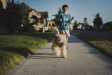 Boy with dog on footpath amidst field - CAVF59225