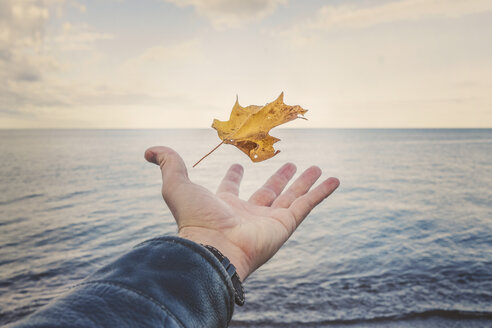 Abgeschnittene Hand eines Mannes, der ein Herbstblatt am Lake Superior gegen den Himmel bei Sonnenuntergang fängt - CAVF59338