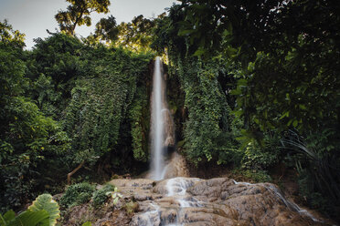 Malerischer Blick auf einen Wasserfall inmitten von Pflanzen im Wald - CAVF59452