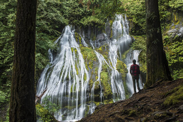 Rear view of man standing against waterfall at Gifford Pinchot National Forest - CAVF59461