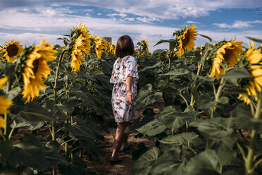 Rückansicht eines Mädchens, das in einer Sonnenblumenfarm spazieren geht - CAVF59491