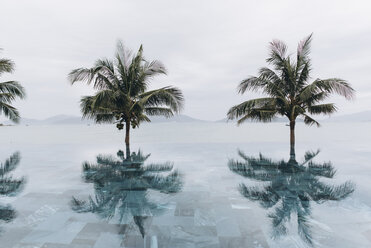 Kokosnusspalmen spiegeln sich im Infinity-Pool gegen den klaren Himmel - CAVF59569