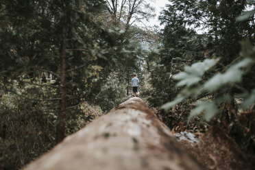 Mid distance view of boy walking on log in forest at Yosemite National Park - CAVF59617