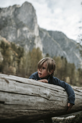 Boy carrying log in forest against mountains at Yosemite National Park stock photo