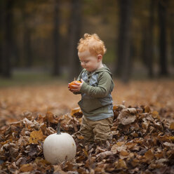 Süßes Baby Junge Blick auf Kürbis beim Stehen auf trockenen Blättern im Park - CAVF59622