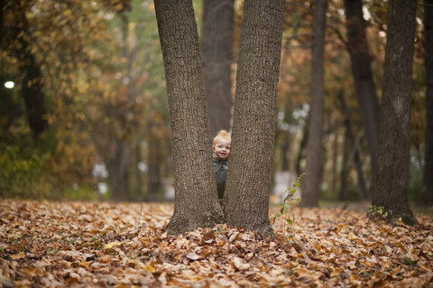 Kleiner Junge, der im Herbst im Park an Baumstämmen steht, lizenzfreies Stockfoto