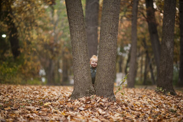 Kleiner Junge, der im Herbst im Park an Baumstämmen steht - CAVF59624