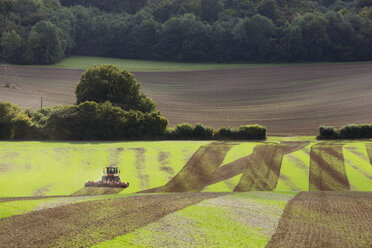 Ackerlandschaft im August, eine hügelige Landschaft mit grünen und braunen Feldern, grünes Getreide, das nach der Ernte in Streifen auf den gepflügten Feldern wächst. - MINF09723