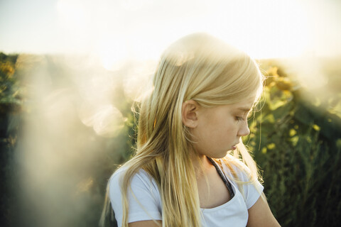 Nahaufnahme eines Mädchens auf einem Sonnenblumenfeld, lizenzfreies Stockfoto