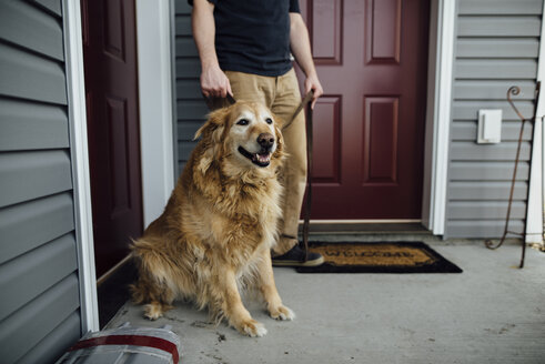 Tiefschnitt eines Mannes mit Golden Retriever, der vor einer Tür steht - CAVF59716