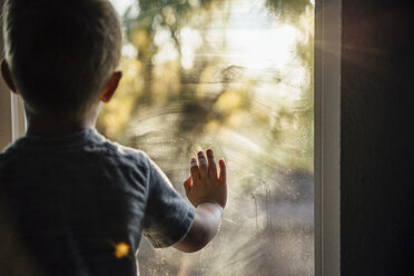 Rear view of boy looking through window at home - CAVF59740